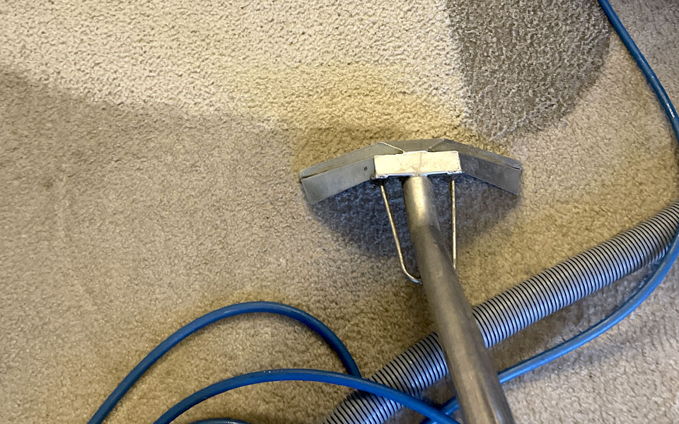 DIY vs. Professional Carpet Cleaning: What's Right for You?