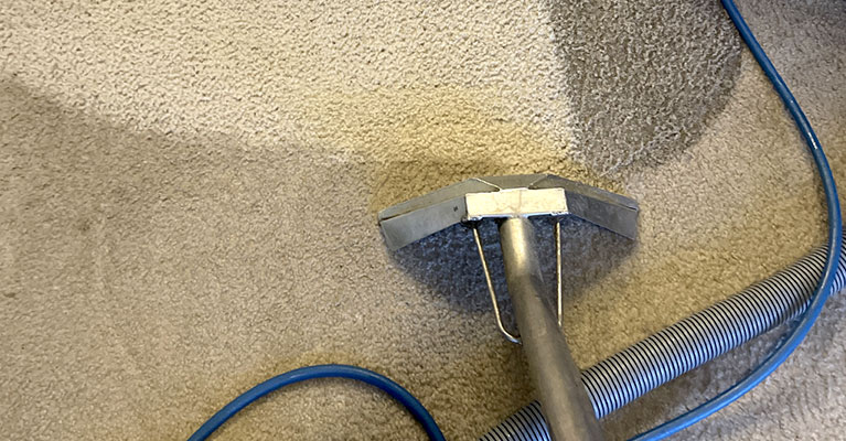 DIY vs. Professional Carpet Cleaning: Pros, Cons, and Costs